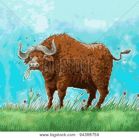 Buffalo