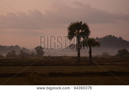 Asia Myanmar Myeik Landscape