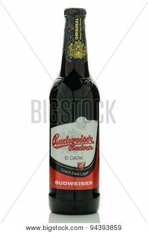 Budweiser dark lager beer isolated on white background.