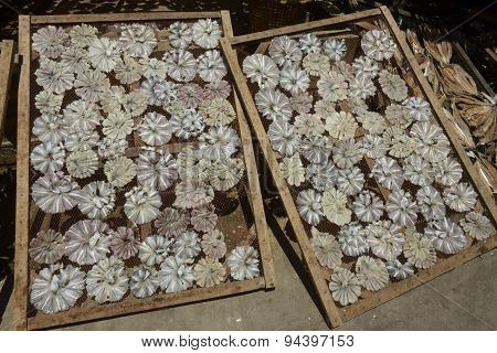Asia Myanmar Myeik Dry Fish Production