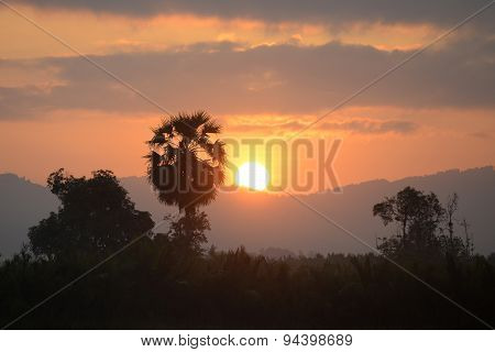 Asia Myanmar Myeik Landscape