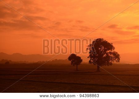 Asia Myanmar Myeik Landscape