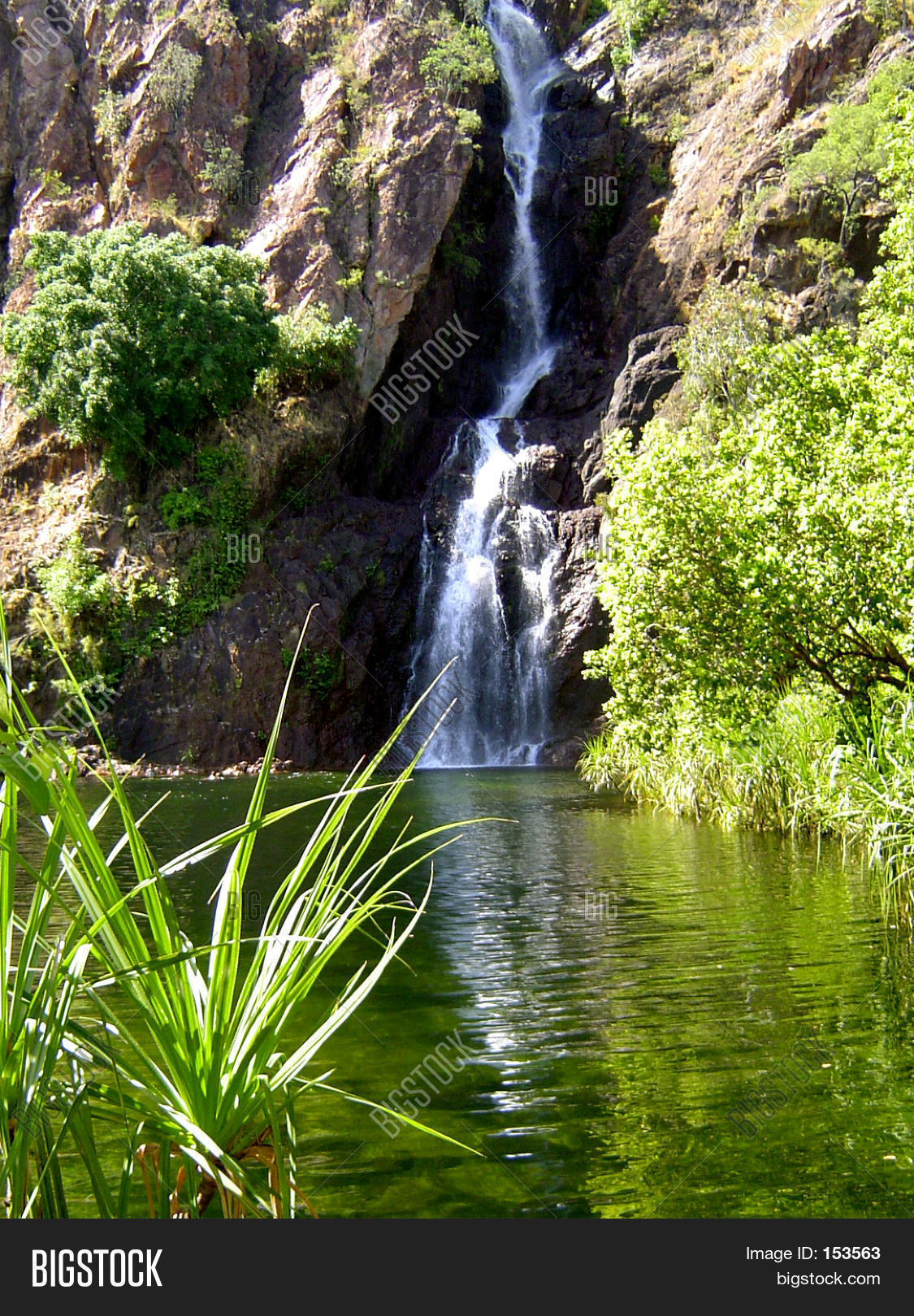 Tropical Waterfall Image & Photo (Free Trial) | Bigstock