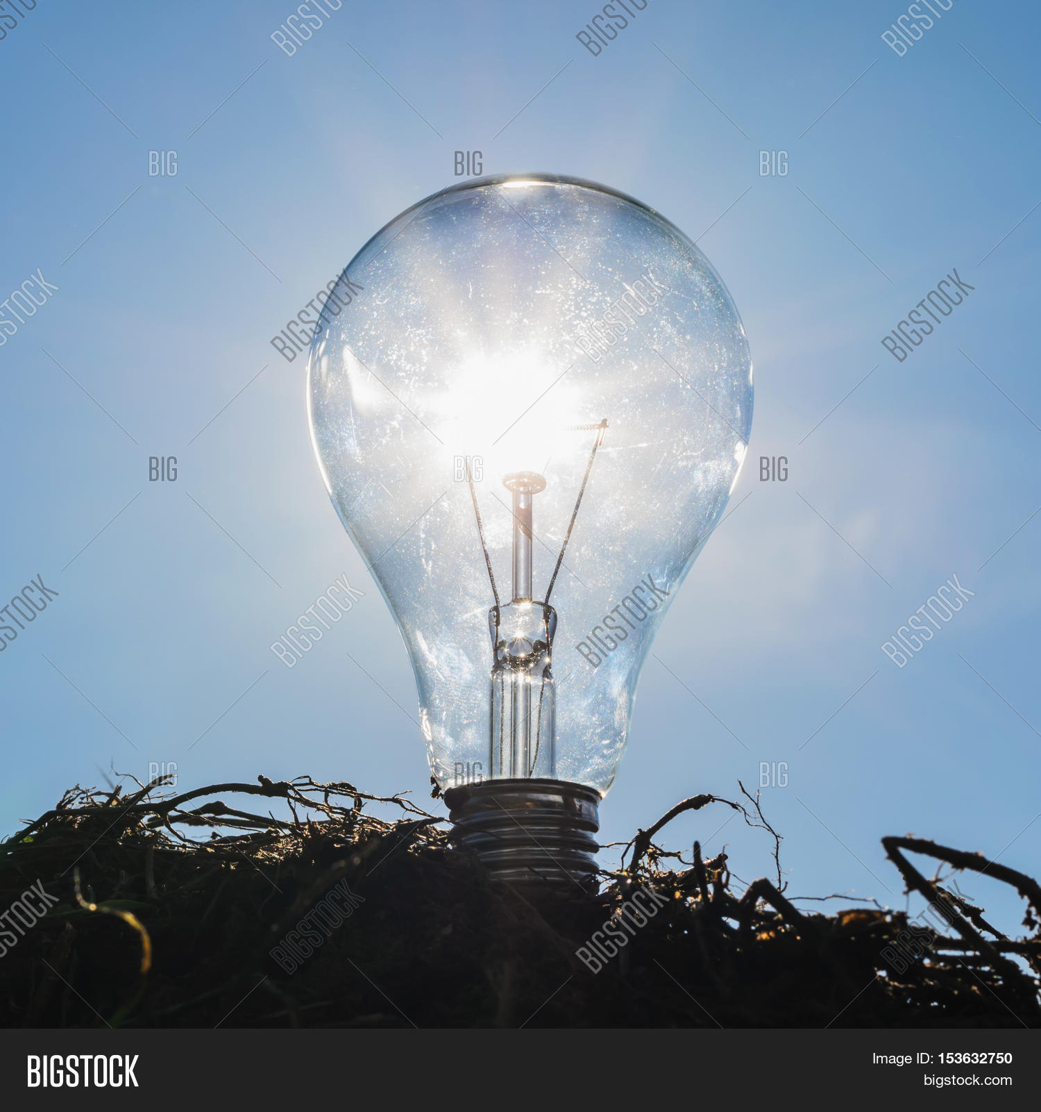 Light Bulb Sunshine Image & Photo (Free Trial) Bigstock