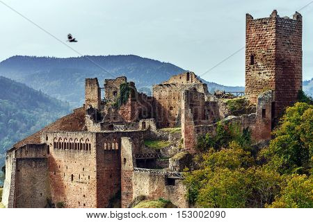 Majestic Medieval Castle  Saint-ulrich On The Top Of The Hill