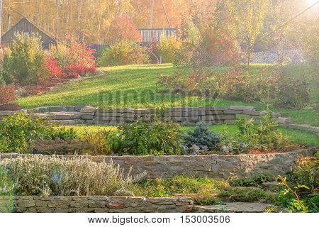 Beautiful autumn landscape with green lawns retaining walls flower beds and a fragment of an alpine slide on the background of yellow leaves of birch trees on a sunny October day sun glare