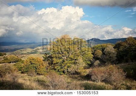 mountain landscape autumnal color, Nebrodi Park - Sicily