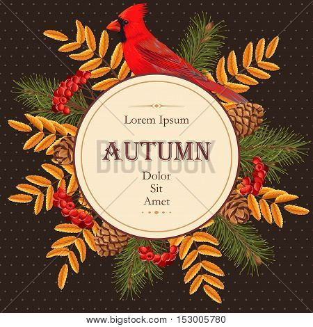 Vector card with redbird, spruce and rowan