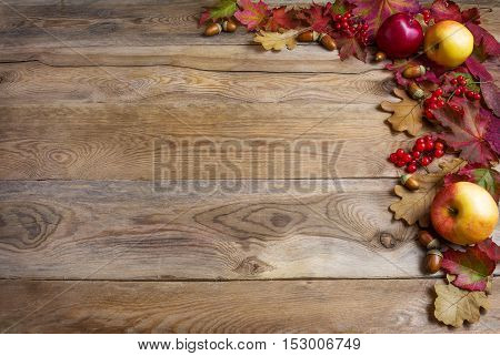 Border of apples acorns red berries and fall leaves on the old wooden background. Thanksgiving background with seasonal berries and fruits. Abundant harvest concept.