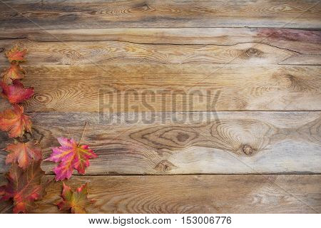 Thanksgiving concept with fall colorful maple leaves on wooden background. Thanksgiving background with seasonal vegetables and fruits. Fall background. Copy space