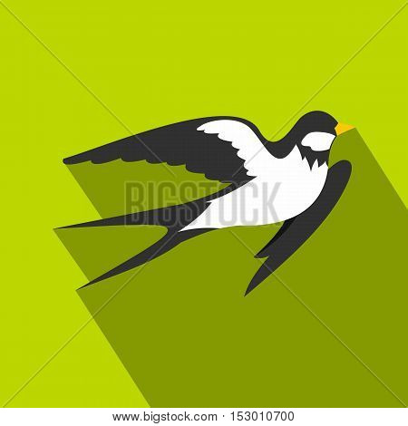 Swallow icon. Flat illustration of swallow vector icon for web isolated on lime background