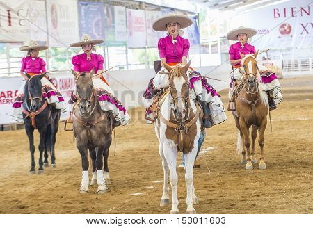GUADALAJARA MEXICO - SEP 01 : Charras participate at the 23rd International Mariachi & Charros festival in Guadalajara Mexico on September 01 2016.