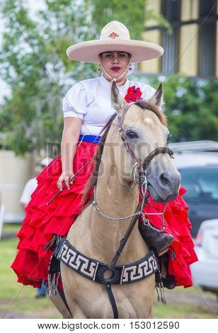 GUADALAJARA MEXICO - SEP 01 : Charra participates at the 23rd International Mariachi & Charros festival in Guadalajara Mexico on September 01 2016.