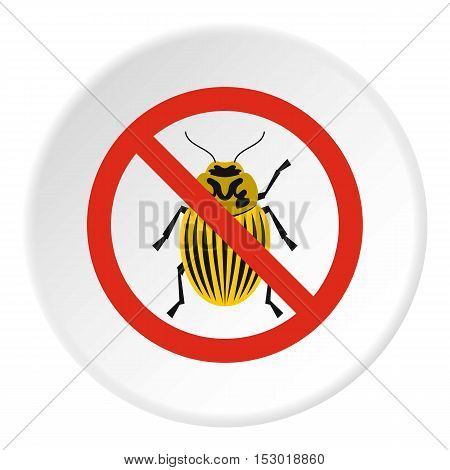 Prohibition sign colorado beetles icon. Flat illustration of prohibition sign colorado beetles vector icon for web