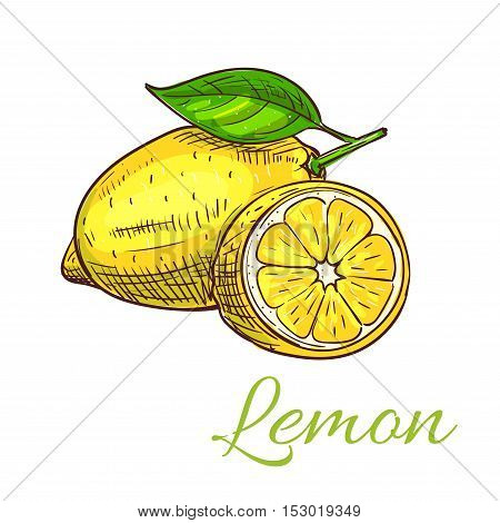 Lemon. Isolated citrus fruit whole and half slice with leaf. Lemon product emblem for juice or jam label, packaging sticker, grocery shop tag, farm store