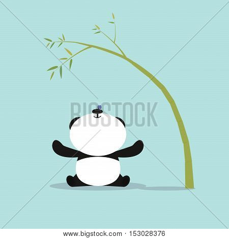 absctract cute panda on a blue background