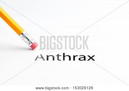 Closeup of pencil eraser and black anthrax text. Anthrax. Pencil with eraser.
