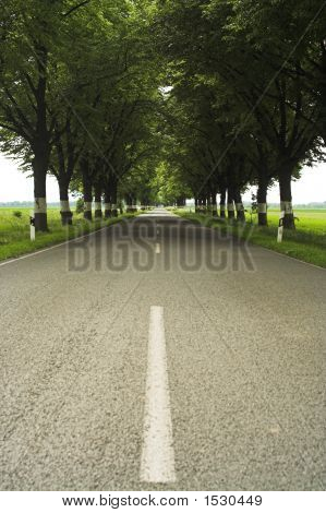 Drogi