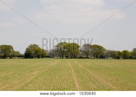 Paesaggio