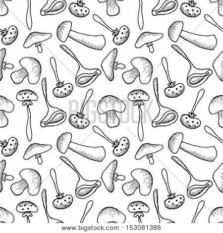 Vector Seamless Pattern, Graphic Illustration