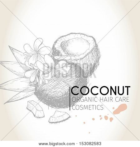 Vector set of hair care ingredients. Organic hand drawn elements. Coconut and leaves. Use for cosmetic package shop store products spa salon wellnes program procedure skin hair care
