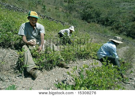 Bolivia