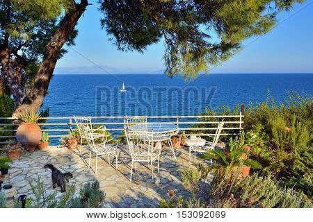 Picnic table and chairs under pine trees in courtyard on coast of Aegean sea at sunset time White sailing yacht on background. Attica Greece