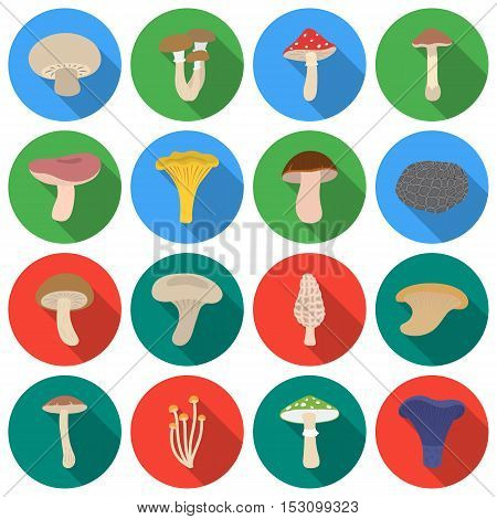 Mushroom set icons in flat style. Big collection mushroom vector symbol stock