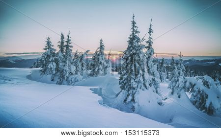 Fantastic orange evening landscape glowing by sunlight. Dramatic wintry scene with snowy trees. Kukul ridge, Carpathians, Ukraine, Europe. Toned like Instagram filter