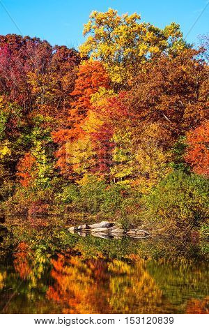 Brilliant Fall colors reflect on George Lake in Schooly's Mountain Park in Morris County NJ.