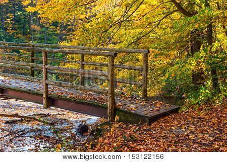 A narrow wooden footbridge in Schooly's Mountain Park in Morris County New Jersey.