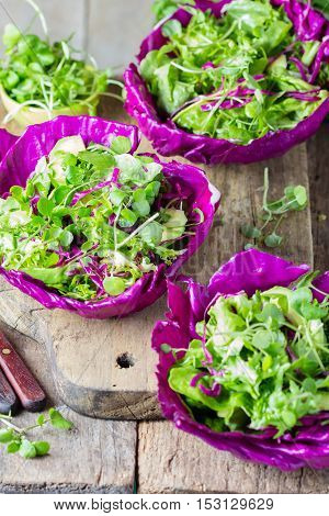 Healthy Homemade veggie vegetarian lettuce arugula ruccola cabbage salad served in leaves of red cabbage - Healthy food, Diet, Detox, Clean Eating or Vegetarian concept