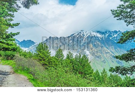 The footapath through the coniferous forests of Kazbegi National Park connects Stepantsminda resort and Gergeti Trinity Church located at the foot of the Mount Kazbek Georgia.