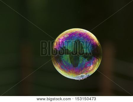 Bright soap bubble flying on the air on the darc background with reflection of buildings