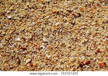 River sand of different size and interspersed with shells.