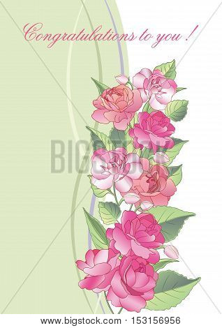 Vector illustration. Beautiful greeting card with blooming balsam flowers