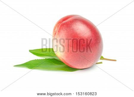 single nectarine with green leaves over white background.