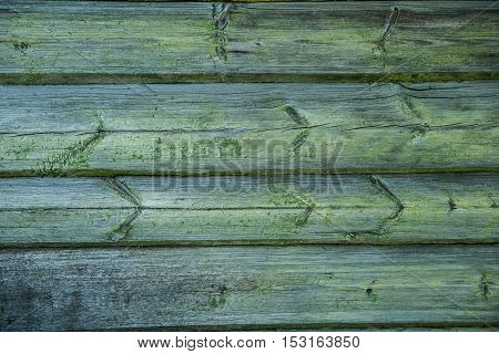 Old weathered wood planks covered with green moss