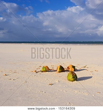 Picturesque Coast Diani