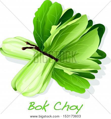 Bokchoy3