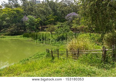 View Of The Aclimacao Park Nature In Sao Paulo