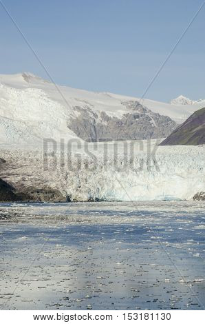 Chile - Amalia Glacier Landscape