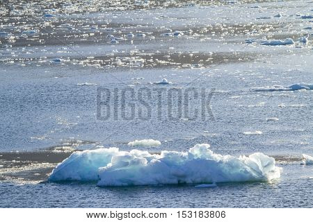 Amalia Glacier - Global Warming - Ice Formations