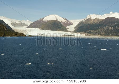 Chile - Amalia Glacier Landscape