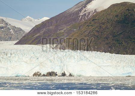 Chile - Amalia Glacier Landscape