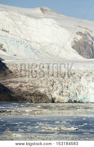Chile - Amalia Glacier Landscape