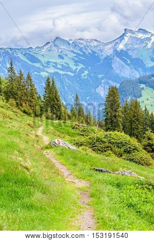Beautiful Swiss mountain valley landscape with trail.