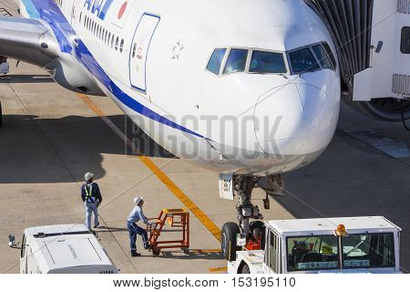 All Nippon Airways (ana) Airplane