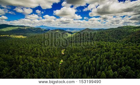 Drone view from of the forest in Nanacamilpa Tlaxcala