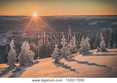 Fantastic orange evening landscape glowing by sunlight. Dramatic wintry scene with snowy trees. Kukul ridge, Carpathians, Ukraine, Europe. Toned like Instagram filter